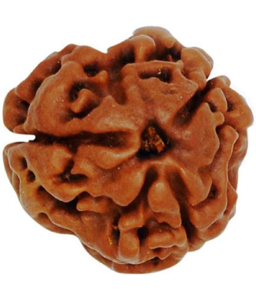 NIVARAN - 3 Mukhi Rudraksha Pendant With Thread ( Pack of 1 ) NIVARAN - 3 Mukhi Rudraksha Pendant With Thread ( Pack of 1 )