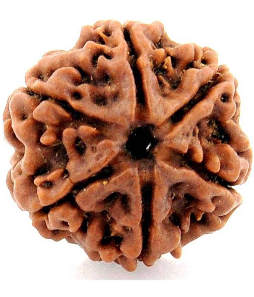     			NIVARAN - 6 Mukhi Rudraksha Pendant With Thread ( Pack of 1 )