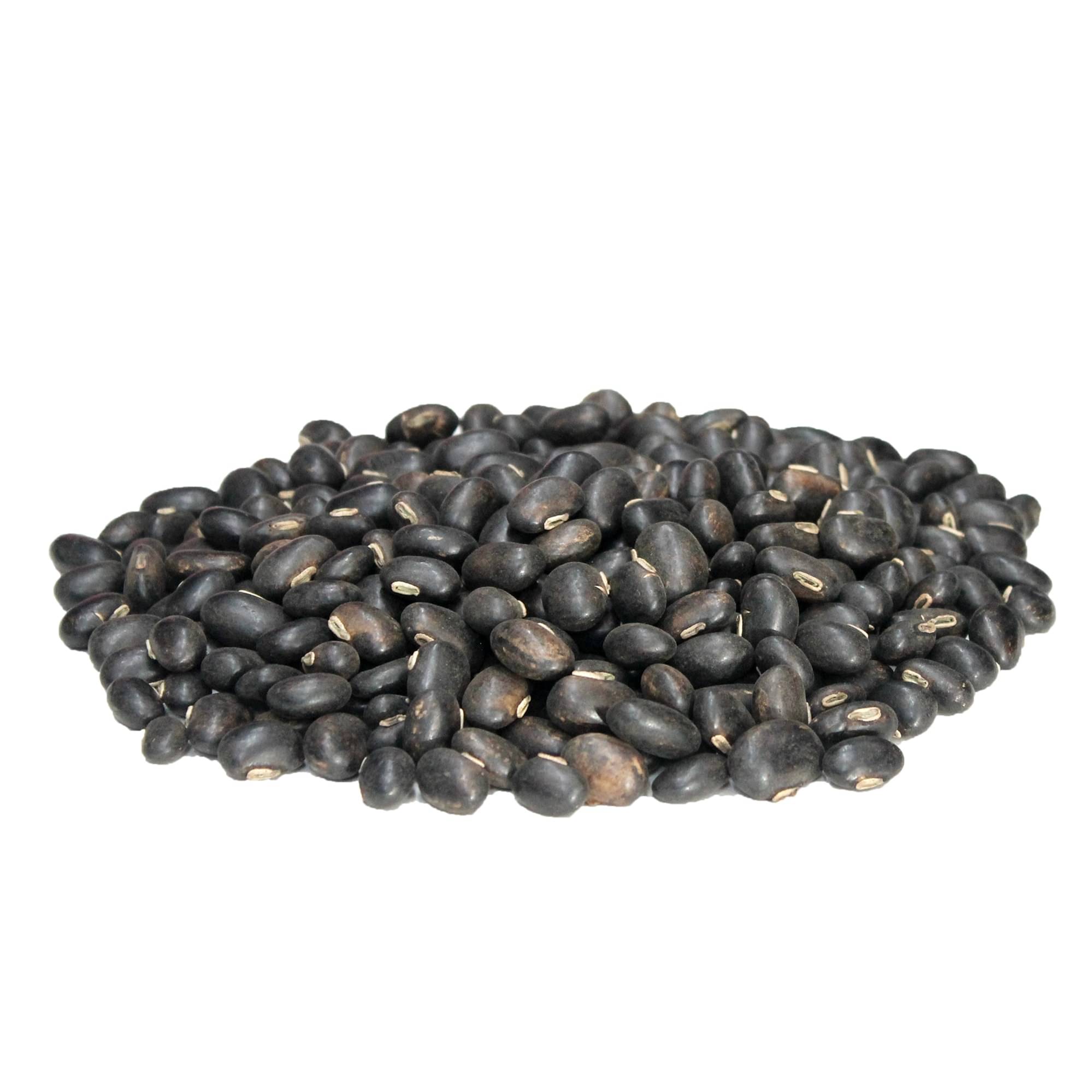     			MYGODGIFT Black Konch Seed 400 gm