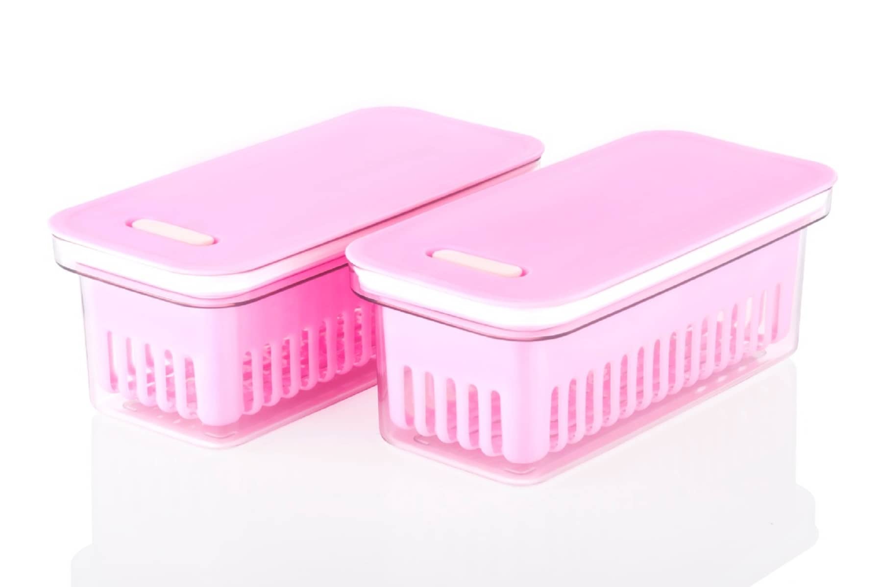 Analog kitchenware - Plastic Pink Food Container ( Set of 2 - 1500 )