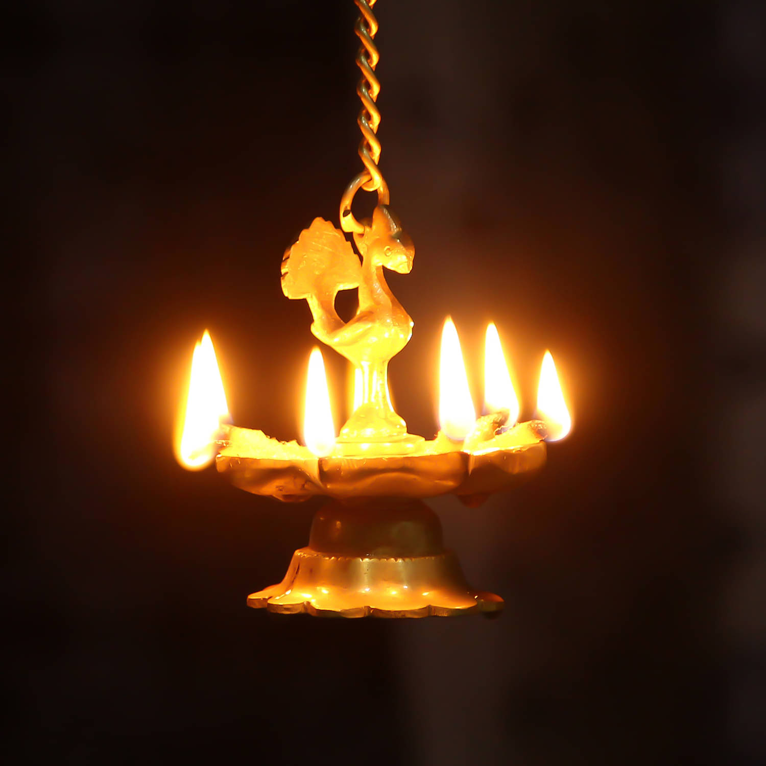 eCraftIndia Gold-Toned Peacock Shaped Hanging Oil Wick Diya eCraftIndia Gold-Toned Peacock Shaped Hanging Oil Wick Diya