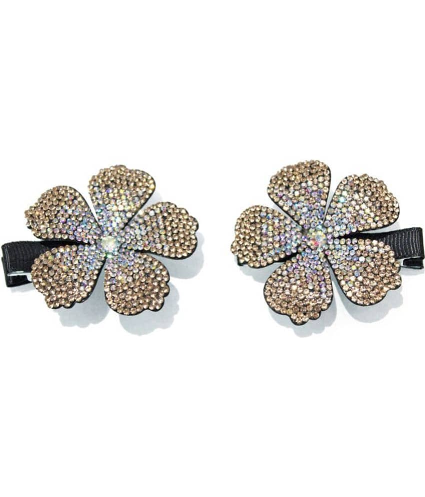 La Belleza - Brown Women's Hair Clip ( Pack of 2 ) - Jewellery Sets | Buy online on ZillyBuy