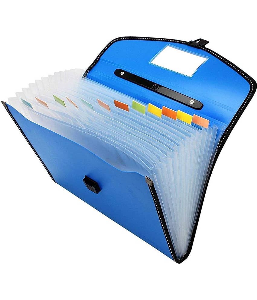 Ravaritya Graphic - Blue Expandable File ( Pack of 1 ) - Stationery | Buy online on ZillyBuy