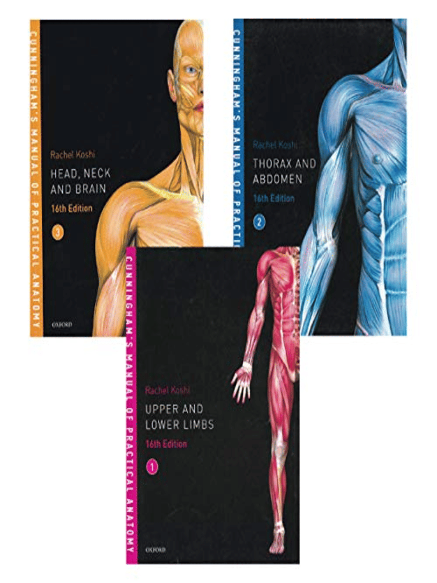     			Cunningham's Manual of Practical Anatomy (Set Of 3 Volumes) 16ED [ Head, Neck , Brain, Thorax , Abdomen, Upper, Lower Limbs ]