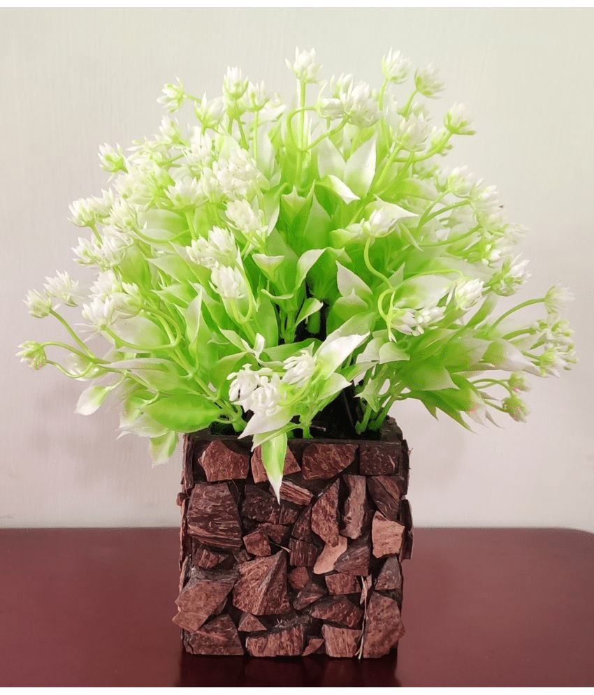    			BAARIG - Off White Wild Artificial Bonsai ( Pack of 1 )