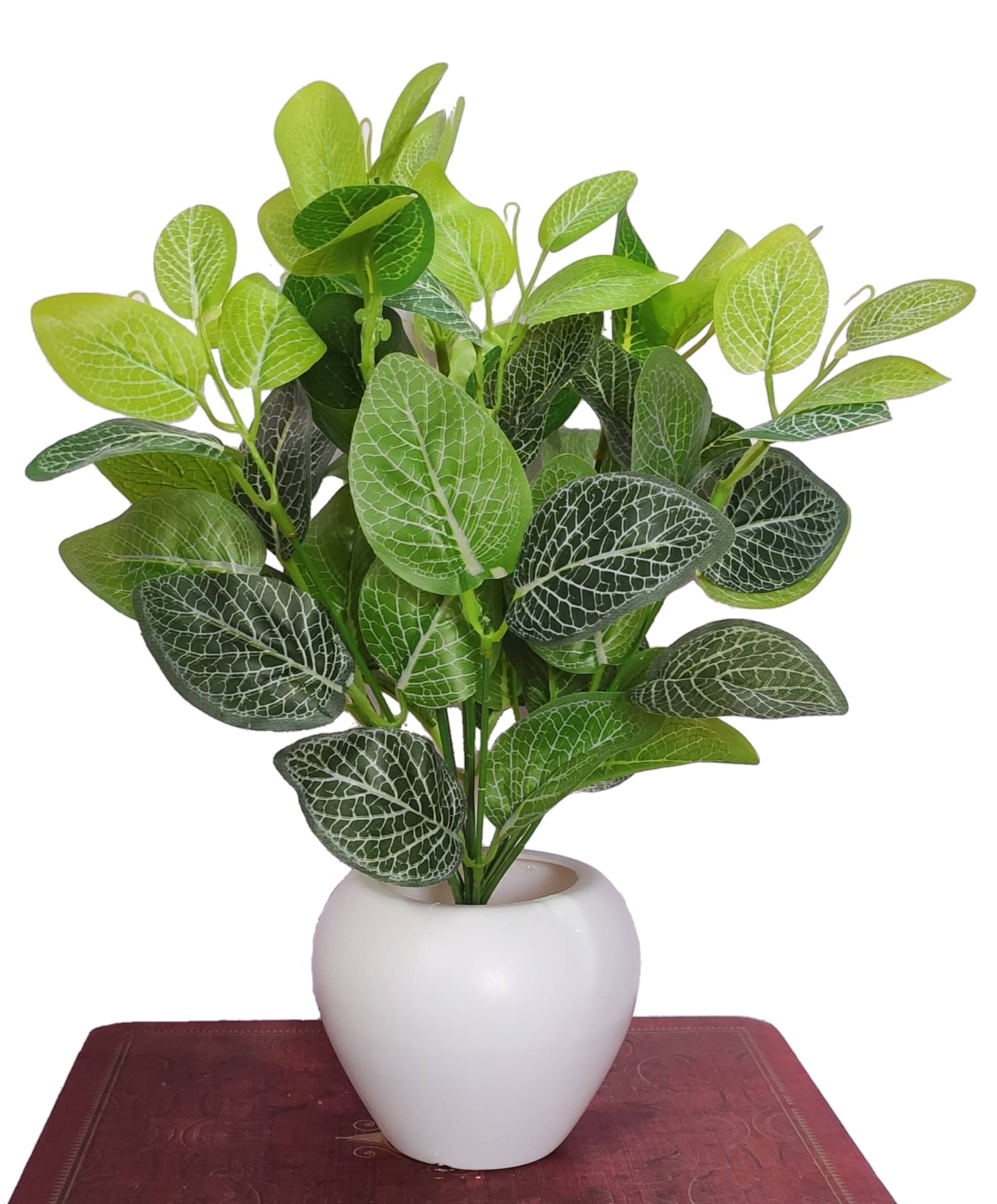     			BAARIG - Green Evergreen Artificial Plants Bunch ( Pack of 1 )