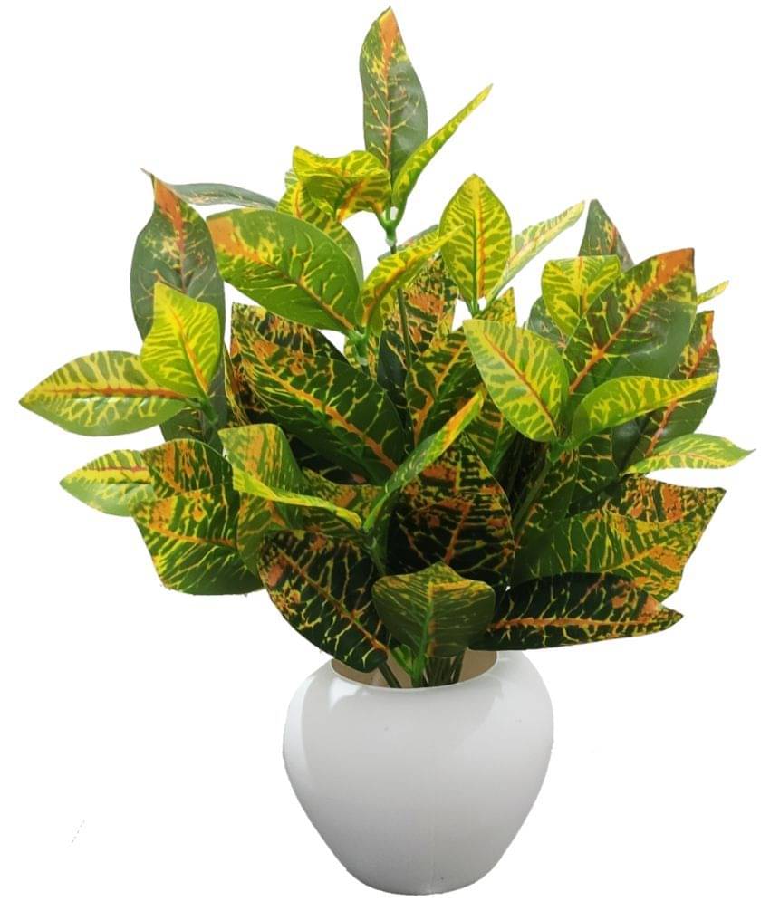     			BAARIG - Multicolor Evergreen Artificial Plants Bunch ( Pack of 1 )