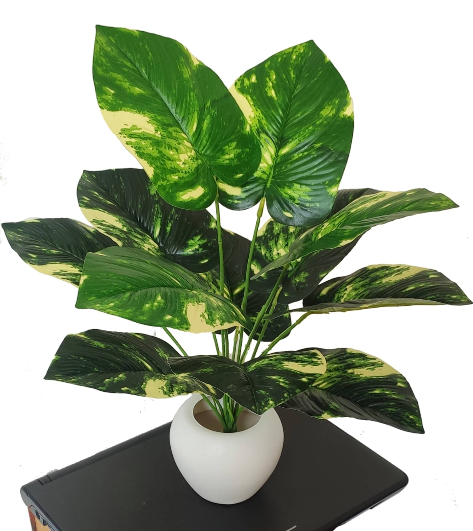     			BAARIG - Multicolor Evergreen Artificial Plants Bunch ( Pack of 1 )