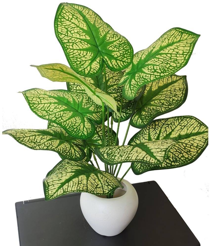     			BAARIG - Off White Evergreen Artificial Plants Bunch ( Pack of 1 )