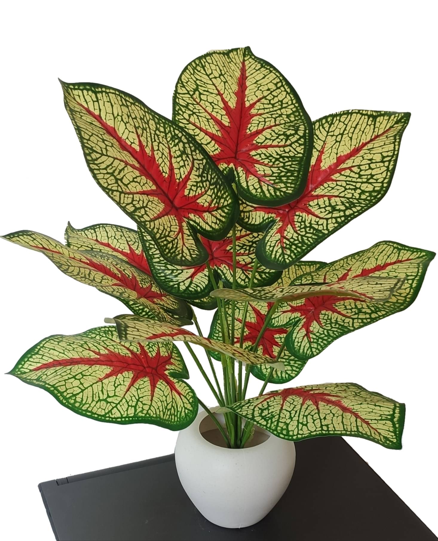     			BAARIG - Red Evergreen Artificial Plants Bunch ( Pack of 1 )