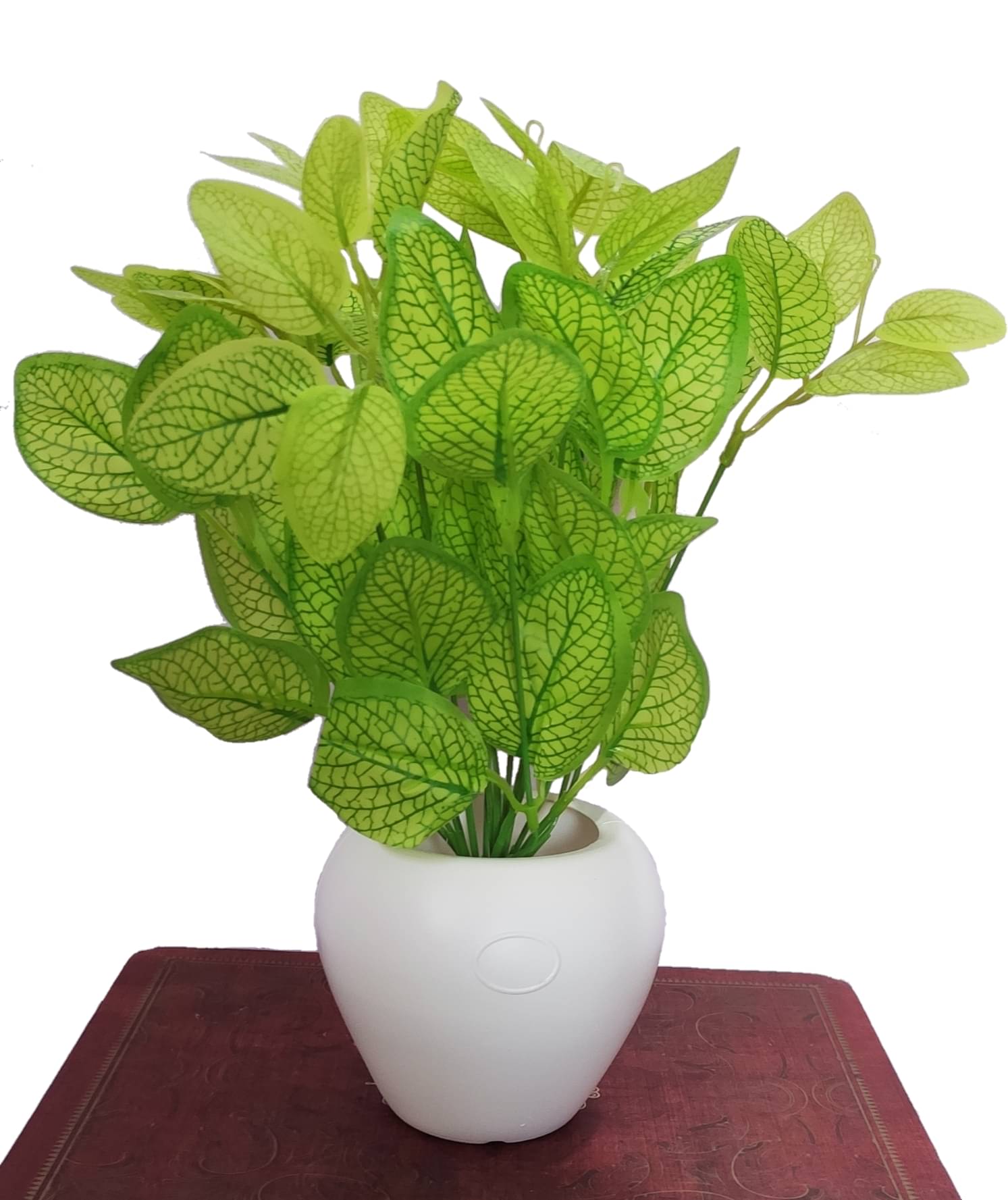     			BAARIG - Yellow Evergreen Artificial Plants Bunch ( Pack of 1 )