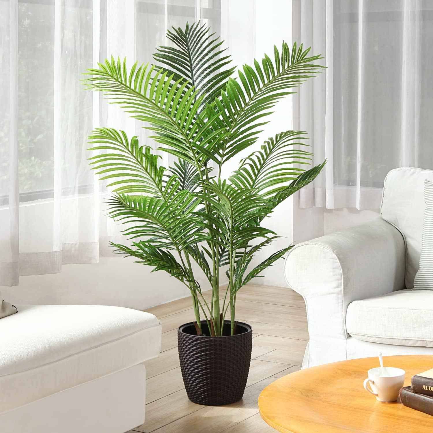 homeagro - Areca palm Plant ( 5 Seeds )