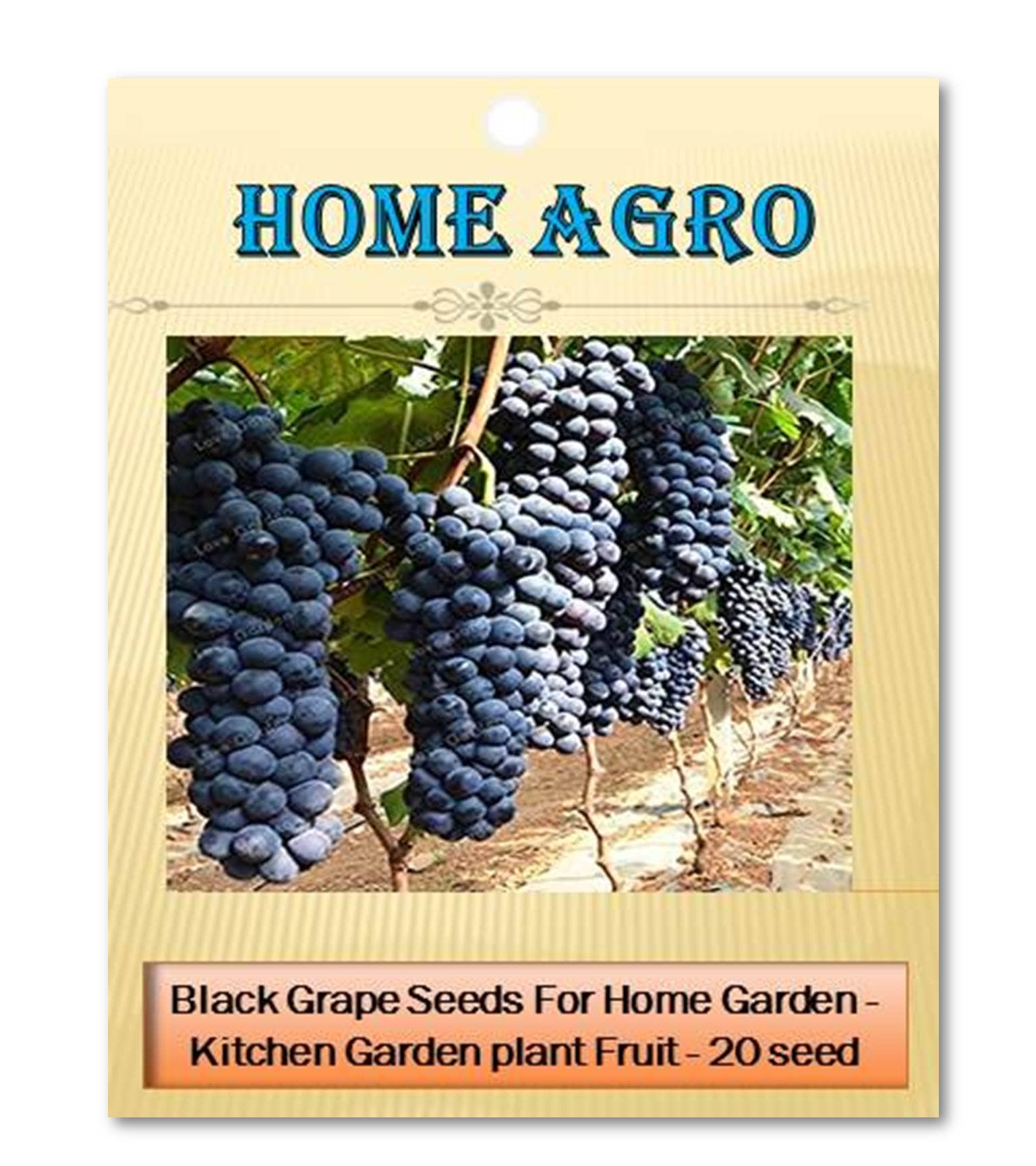 homeagro - Black Grape Fruit ( 20 Seeds )