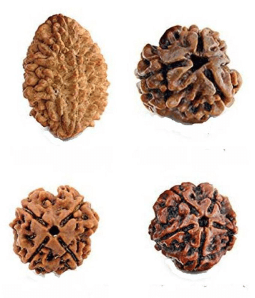 DvR ClicK - 5 Mukhi Rudraksha Bead ( Pack of 4 ) DvR ClicK - 5 Mukhi Rudraksha Bead ( Pack of 4 )