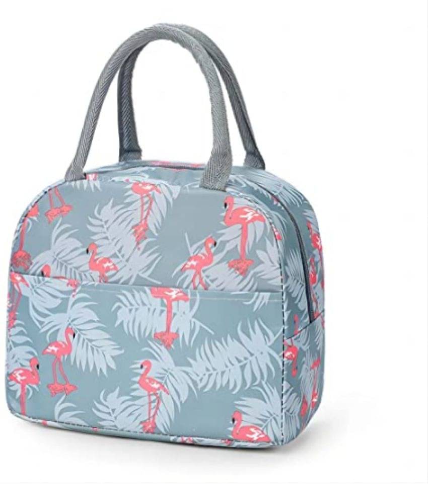     			FSN - Multicolor Fabric Lunch Bag
