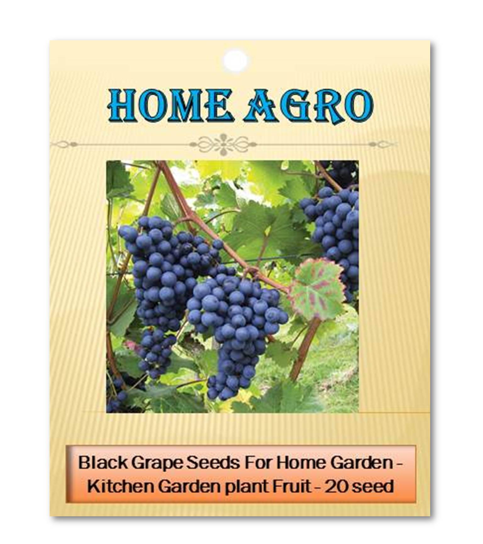     			homeagro - Black Grape Fruit ( 20 Seeds )