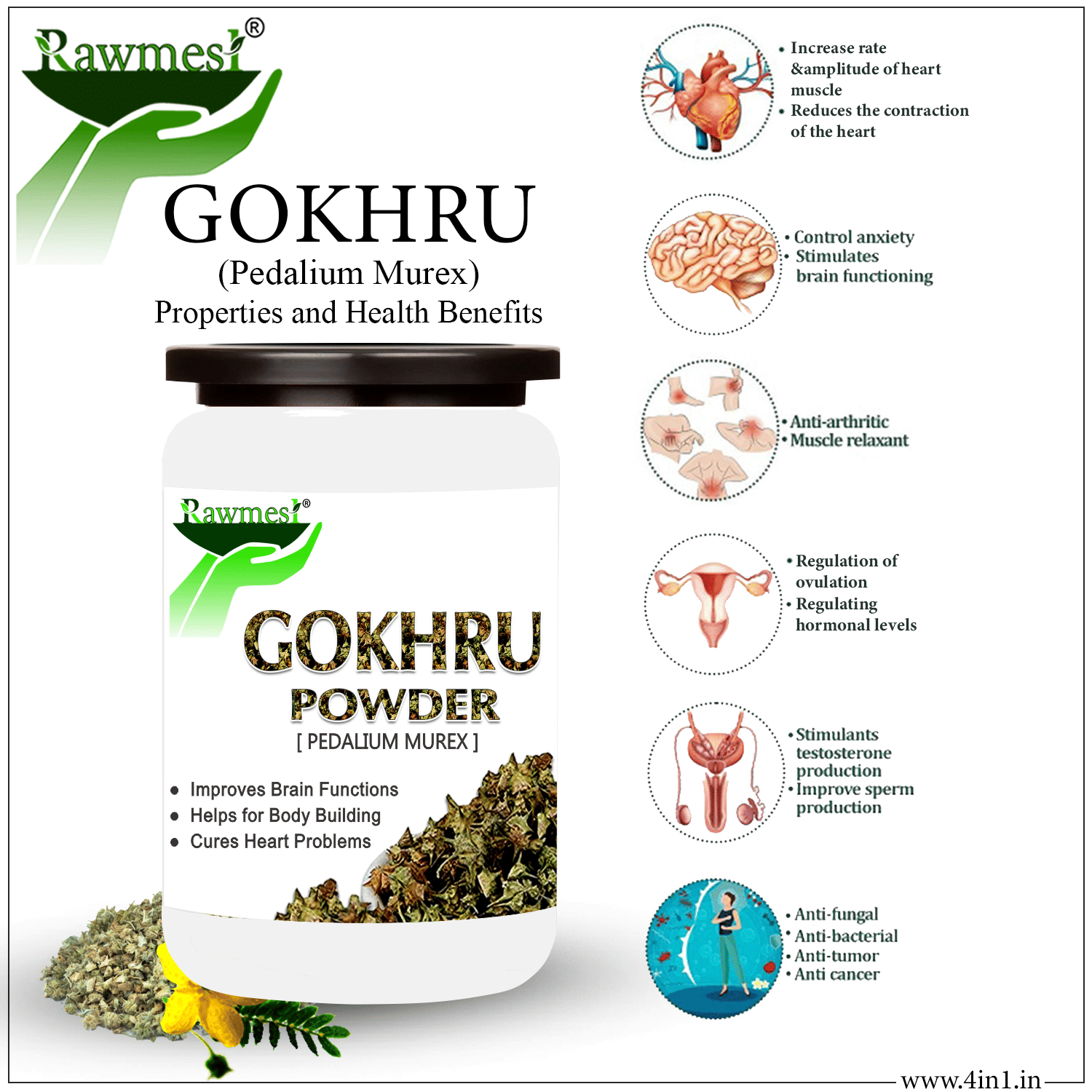 Rawmest Bindii/ Gokhru/ Tribulus Terrestris Powder 100 Gm Pack of 1