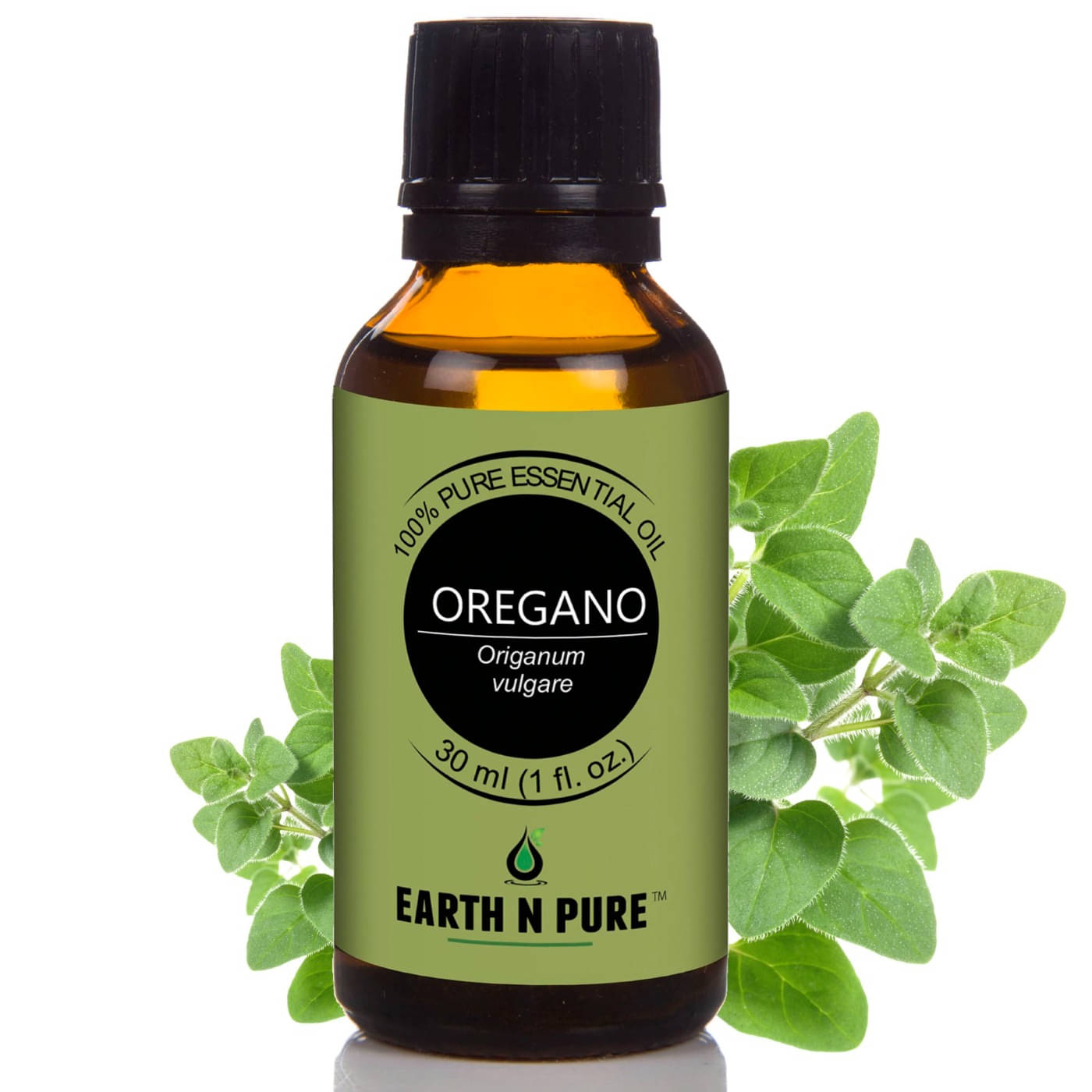    			Earth N Pure - Oregano Essential Oil 30 mL ( Pack of 1 )