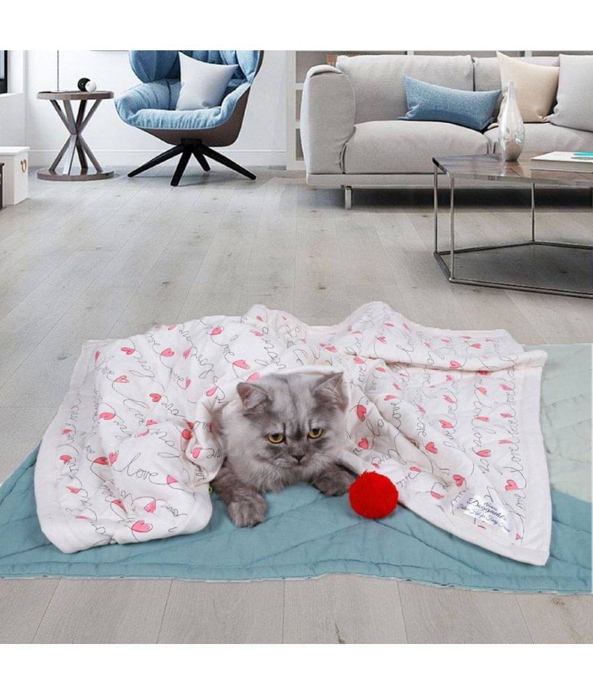     			Pet blanket