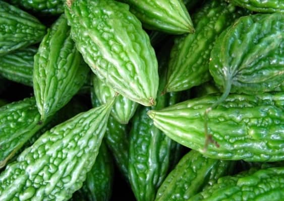 homeagro - Bitter Gourd Vegetable ( 20 Seeds )