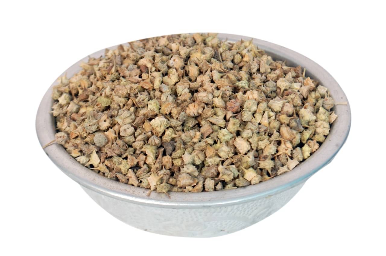 My God Gift Gokhroo Chota-Tribulus Terrestris Seeds-Small Caltrops Seed (100g) 100 gm My God Gift Gokhroo Chota-Tribulus Terrestris Seeds-Small Caltrops Seed (100g) 100 gm