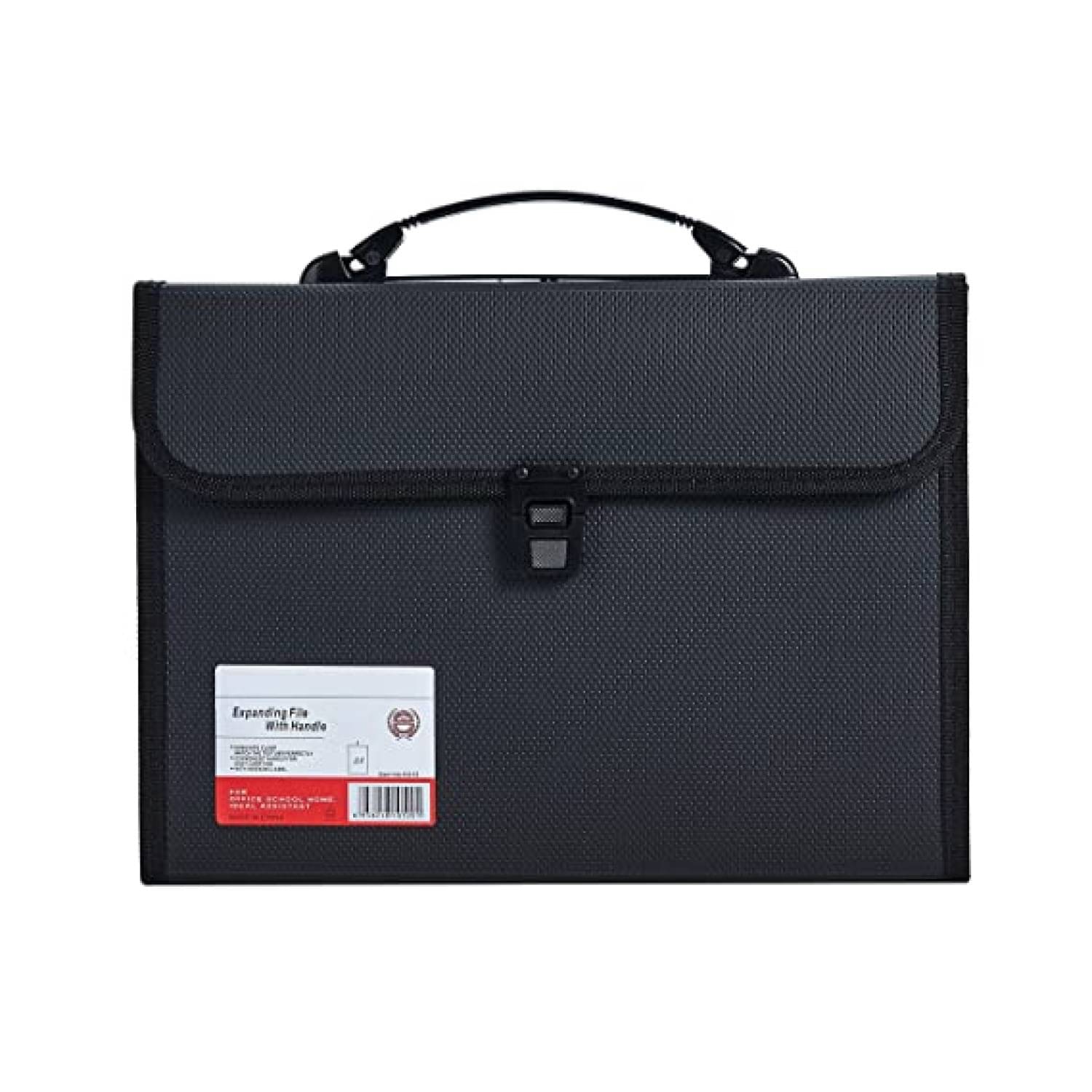     			13 Pocket Accordian File Organizer Expanding File Folder for FC A4 Paper, Briefcase File Case with Durable Handle & Buckle Closure for School Home Business (Black)