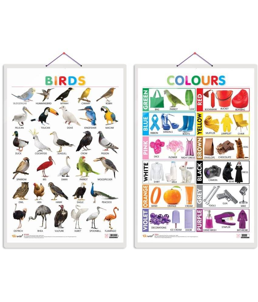 Set of 2 Birds and Colours Early Learning Educational Charts for Kids | 20"X30" inch |Non-Tearable and Waterproof | Double Sided Laminated | Perfect for Homeschooling, Kindergarten and Nursery Students Set of 2 Birds and Colours Early Learning Educational Charts for Kids | 20"X30" inch |Non-Tearable and Waterproof | Double Sided Laminated | Perfect for Homeschooling, Kindergarten and Nursery Students