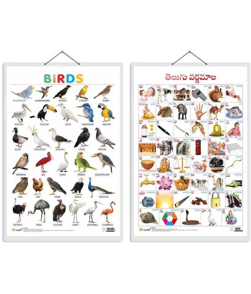     			Set of 2 Birds and Telugu Alphabet (Telugu) Early Learning Educational Charts for Kids | 20"X30" inch |Non-Tearable and Waterproof | Double Sided Laminated | Perfect for Homeschooling, Kindergarten and Nursery Students