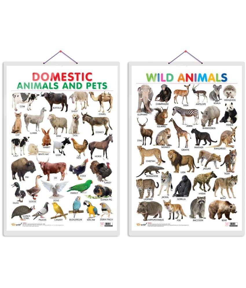 Set of 2 Domestic Animals and Pets and Wild Animals Early Learning Educational Charts for Kids | 20"X30" inch |Non-Tearable and Waterproof | Double Sided Laminated | Perfect for Homeschooling, Kindergarten and Nursery Students Set of 2 Domestic Animals and Pets and Wild Animals Early Learning Educational Charts for Kids | 20"X30" inch |Non-Tearable and Waterproof | Double Sided Laminated | Perfect for Homeschooling, Kindergarten and Nursery Students