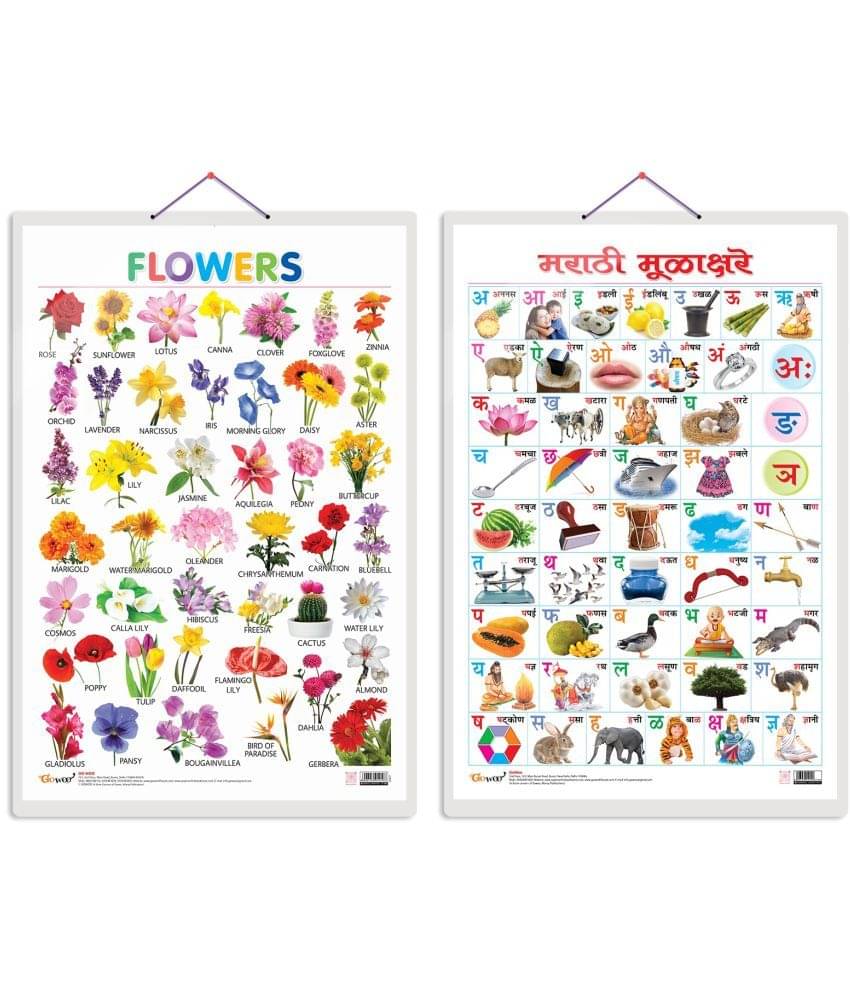 Set of 2 Flowers and Marathi Varnamala (Marathi) Early Learning Educational Charts for Kids | 20"X30" inch |Non-Tearable and Waterproof | Double Sided Laminated | Perfect for Homeschooling, Kindergarten and Nursery Students Set of 2 Flowers and Marathi Varnamala (Marathi) Early Learning Educational Charts for Kids | 20"X30" inch |Non-Tearable and Waterproof | Double Sided Laminated | Perfect for Homeschooling, Kindergarten and Nursery Students