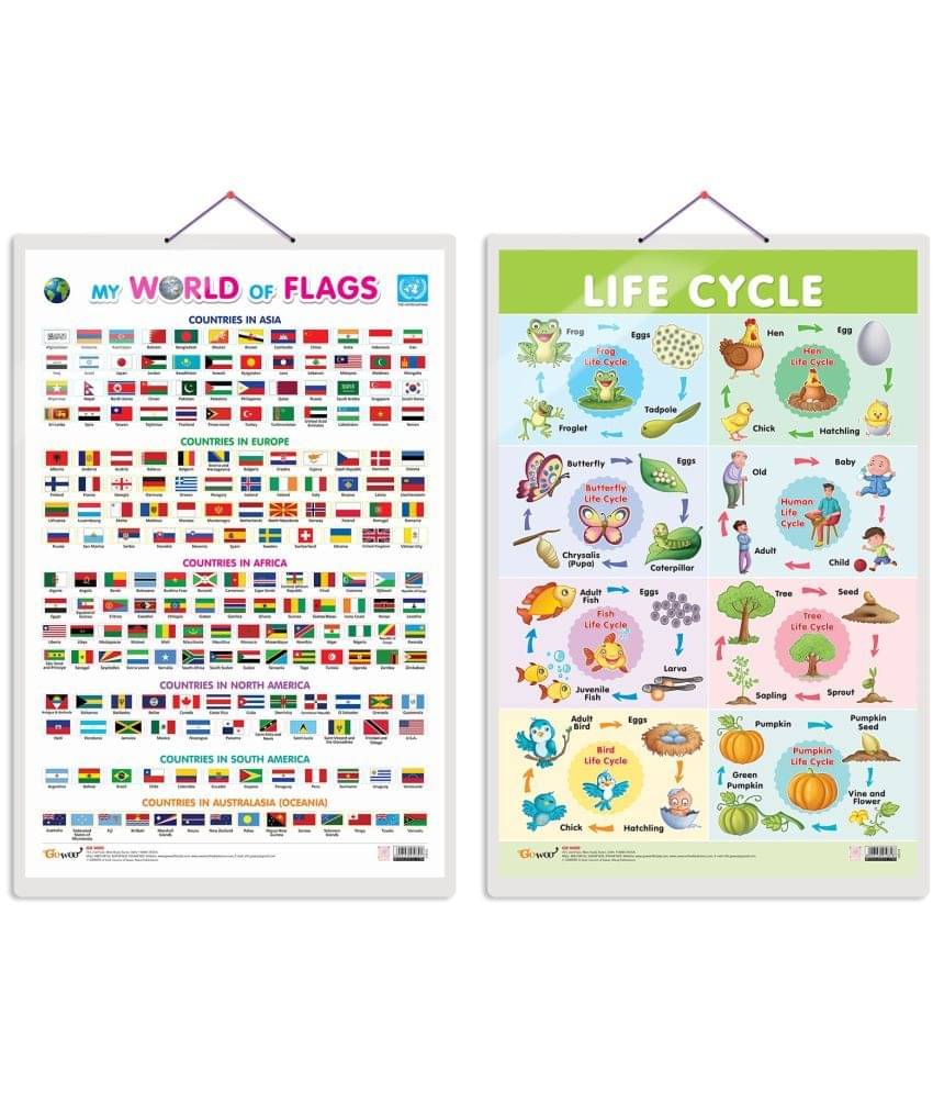 Set of 2 My World of Flags and Life Cycle Early Learning Educational Charts for Kids | 20"X30" inch |Non-Tearable and Waterproof | Double Sided Laminated | Perfect for Homeschooling, Kindergarten and Nursery Students Set of 2 My World of Flags and Life Cycle Early Learning Educational Charts for Kids | 20"X30" inch |Non-Tearable and Waterproof | Double Sided Laminated | Perfect for Homeschooling, Kindergarten and Nursery Students