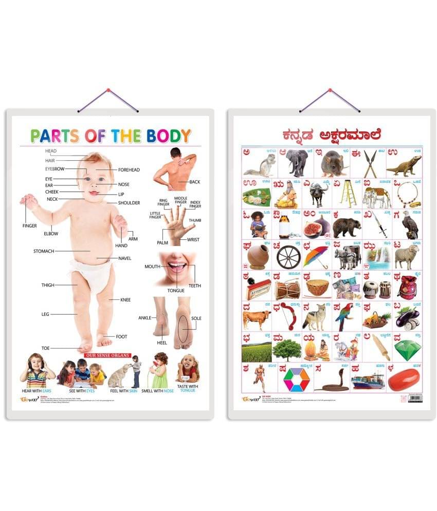 Set of 2 Parts of the Body and Kannada Alphabet Early Learning Educational Charts for Kids | 20"X30" inch |Non-Tearable and Waterproof | Double Sided Laminated | Perfect for Homeschooling, Kindergarten and Nursery Students Set of 2 Parts of the Body and Kannada Alphabet Early Learning Educational Charts for Kids | 20"X30" inch |Non-Tearable and Waterproof | Double Sided Laminated | Perfect for Homeschooling, Kindergarten and Nursery Students