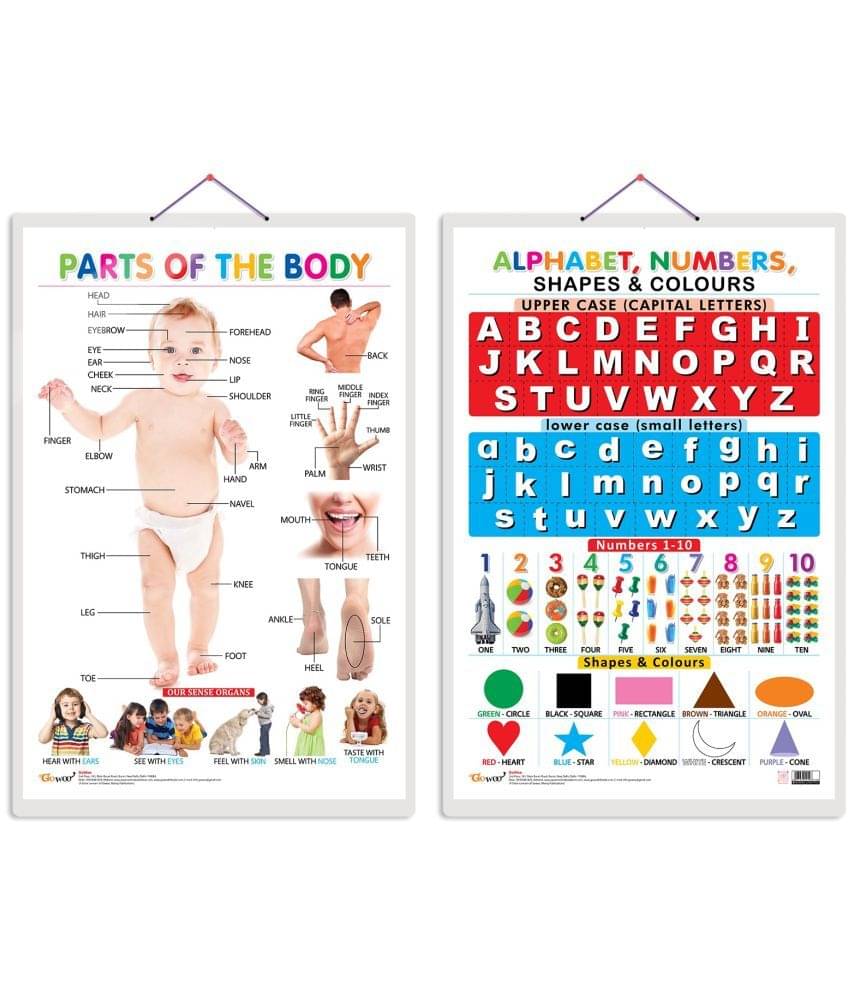 Set of 2 Parts of the Body and Alphabet, Numbers, Shapes & Colours Early Learning Educational Charts for Kids | 20"X30" inch |Non-Tearable and Waterproof | Double Sided Laminated | Perfect for Homeschooling, Kindergarten and Nursery Students Set of 2 Parts of the Body and Alphabet, Numbers, Shapes & Colours Early Learning Educational Charts for Kids | 20"X30" inch |Non-Tearable and Waterproof | Double Sided Laminated | Perfect for Homeschooling, Kindergarten and Nursery Students