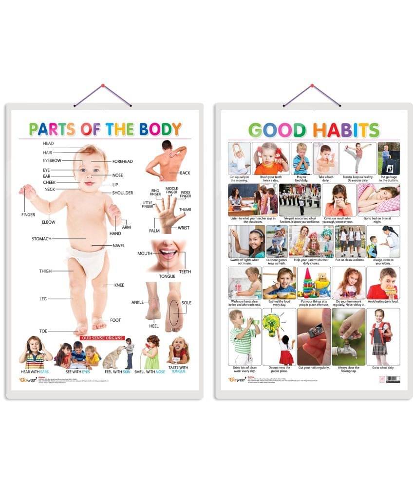 Set of 2 Parts of the Body and Good Habits Early Learning Educational Charts for Kids | 20"X30" inch |Non-Tearable and Waterproof | Double Sided Laminated | Perfect for Homeschooling, Kindergarten and Nursery Students Set of 2 Parts of the Body and Good Habits Early Learning Educational Charts for Kids | 20"X30" inch |Non-Tearable and Waterproof | Double Sided Laminated | Perfect for Homeschooling, Kindergarten and Nursery Students