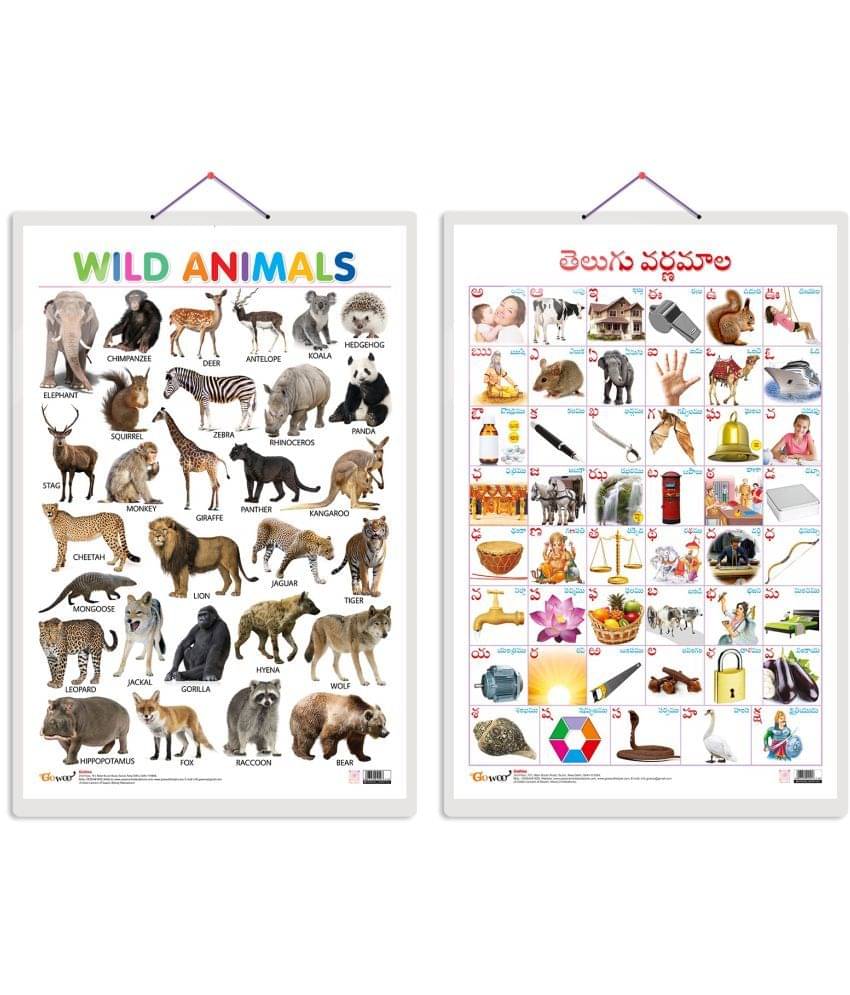 Set of 2 Wild Animals and Telugu Alphabet (Telugu) Early Learning Educational Charts for Kids | 20"X30" inch |Non-Tearable and Waterproof | Double Sided Laminated | Perfect for Homeschooling, Kindergarten and Nursery Students Set of 2 Wild Animals and Telugu Alphabet (Telugu) Early Learning Educational Charts for Kids | 20"X30" inch |Non-Tearable and Waterproof | Double Sided Laminated | Perfect for Homeschooling, Kindergarten and Nursery Students