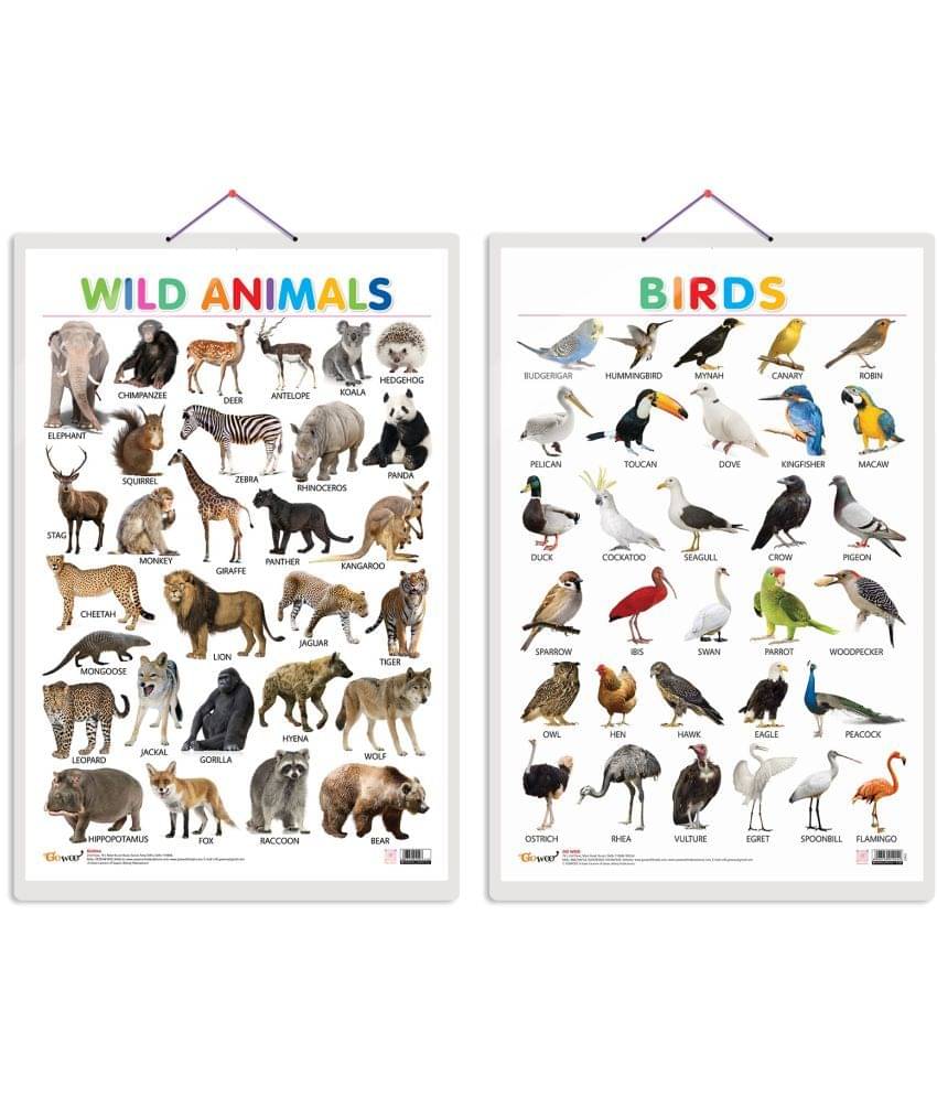 Set of 2 Wild Animals and Birds Early Learning Educational Charts for Kids | 20"X30" inch |Non-Tearable and Waterproof | Double Sided Laminated | Perfect for Homeschooling, Kindergarten and Nursery Students Set of 2 Wild Animals and Birds Early Learning Educational Charts for Kids | 20"X30" inch |Non-Tearable and Waterproof | Double Sided Laminated | Perfect for Homeschooling, Kindergarten and Nursery Students