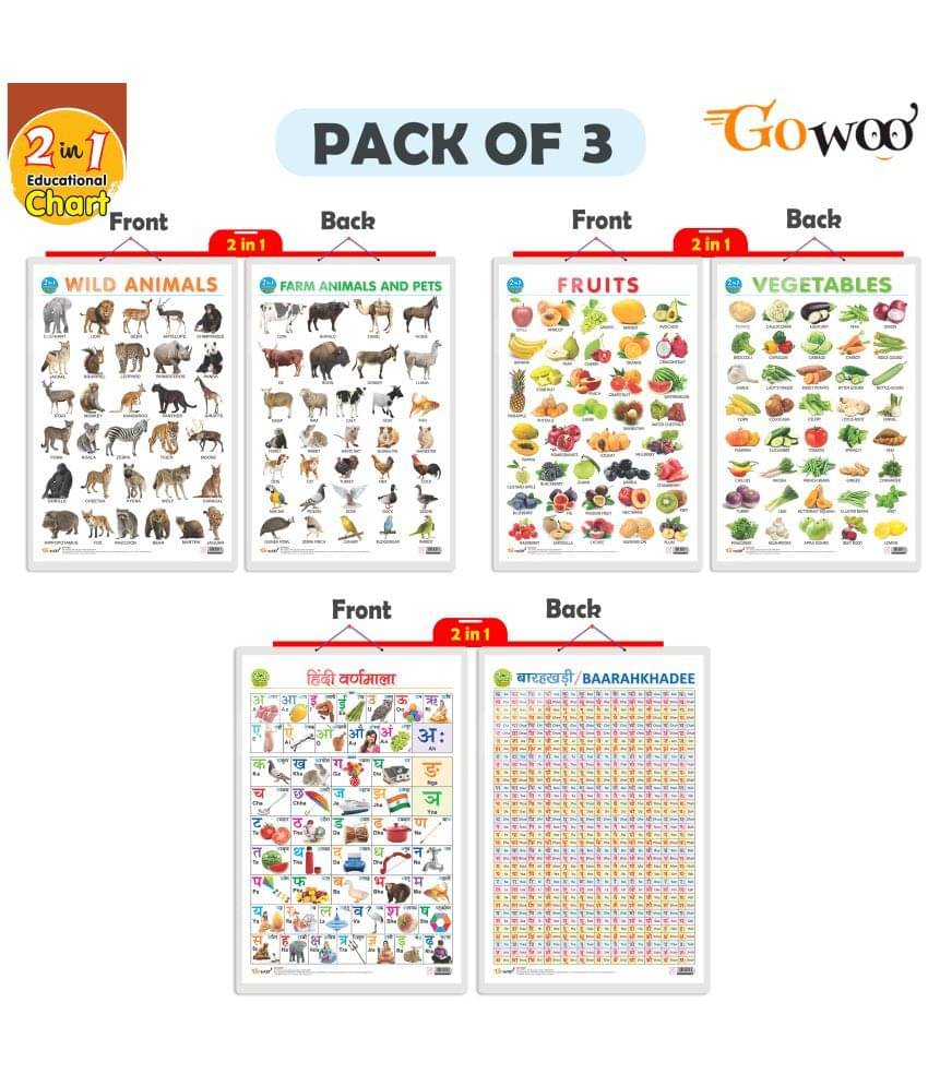     			Set of 3 |2 IN 1 FRUITS AND VEGETABLES, 2 IN 1 WILD AND FARM ANIMALS & PETS and 2 IN 1 HINDI VARNMALA AND BAARAHKHADEE Early Learning Educational Charts for Kids