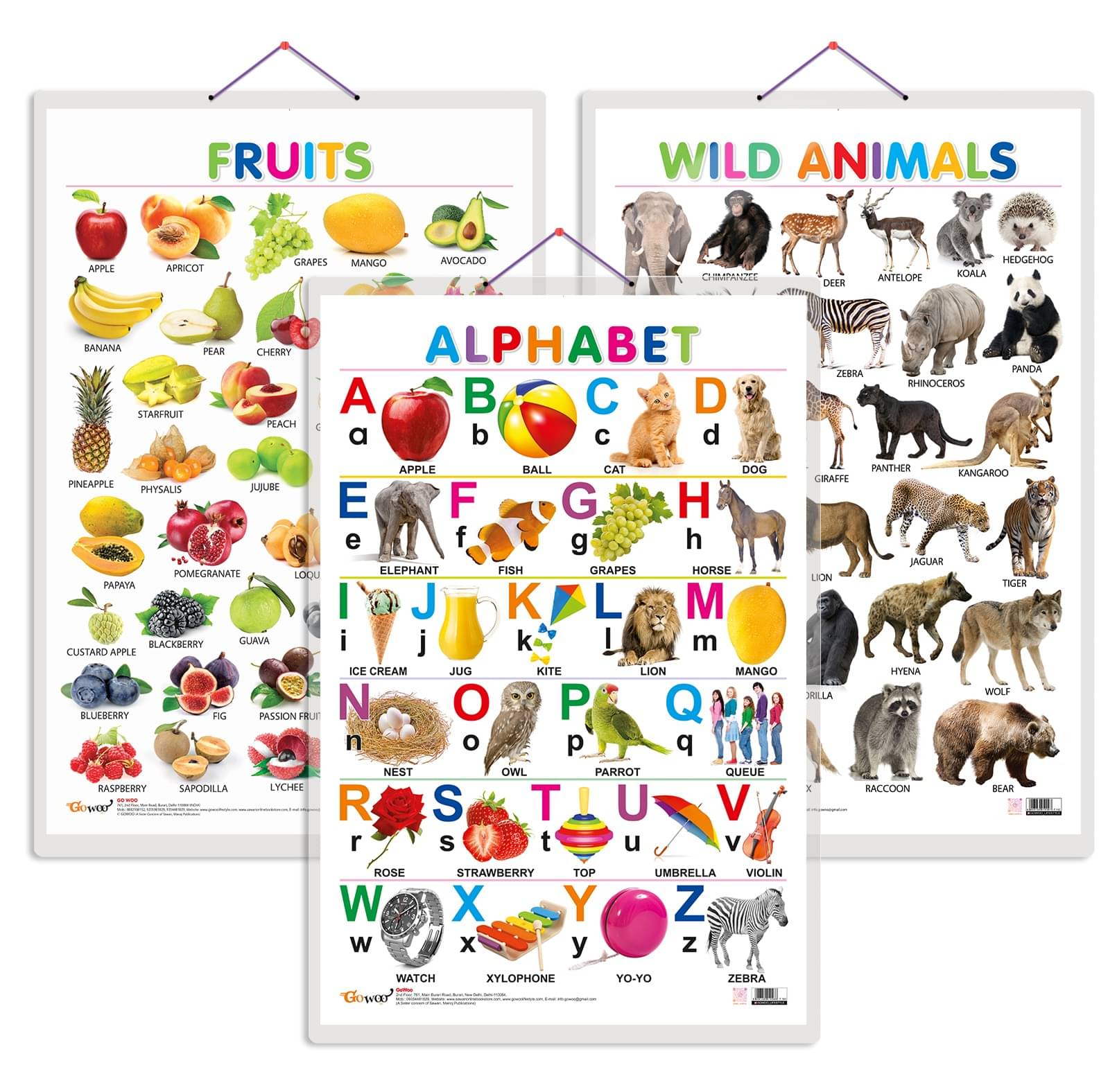     			Set of 3 Alphabet, Fruits and Wild Animals Early Learning Educational Charts for Kids | 20"X30" inch |Non-Tearable and Waterproof | Double Sided Laminated | Perfect for Homeschooling, Kindergarten and Nursery Students