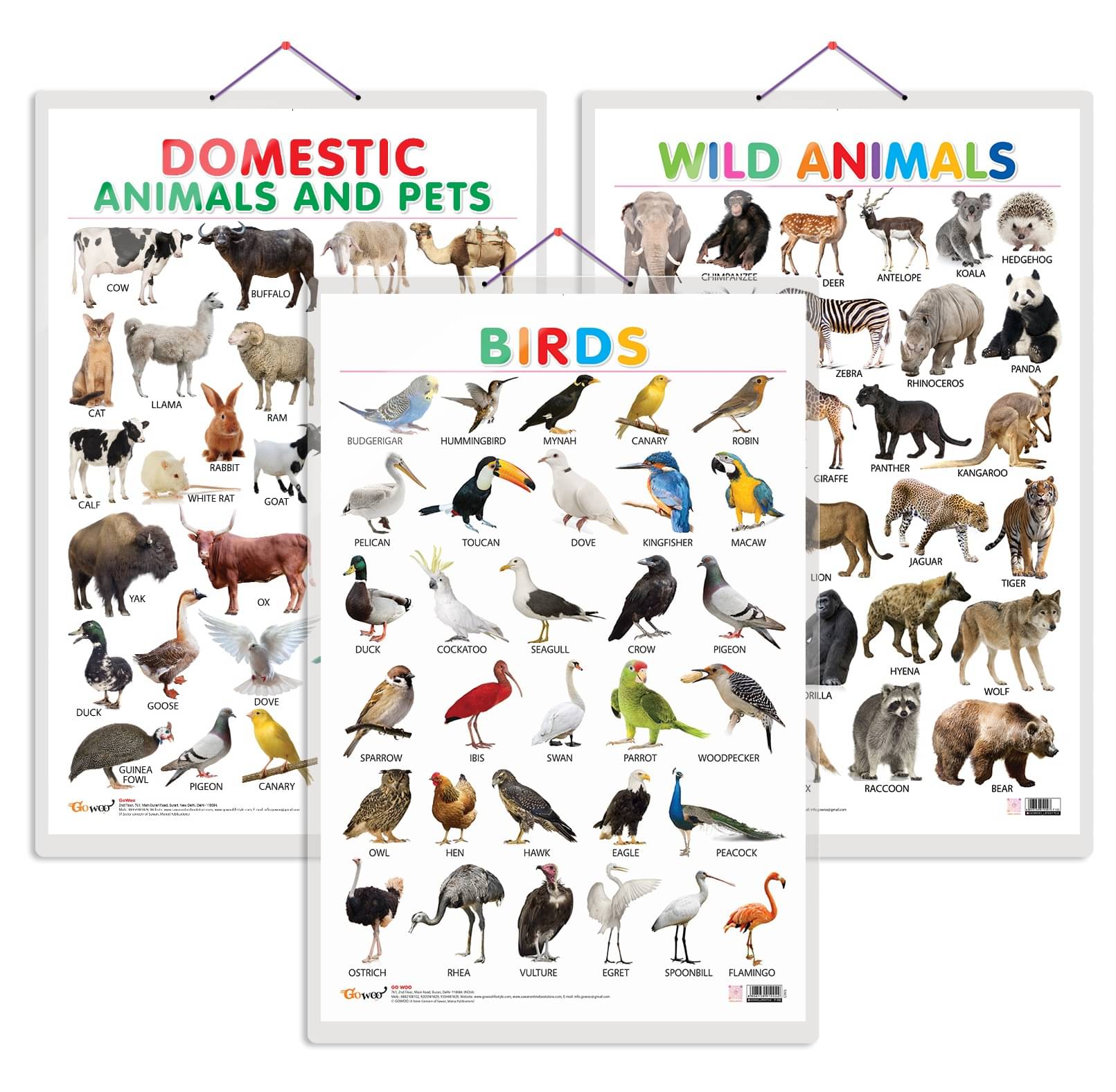 Set of 3 Domestic Animals and Pets, Wild Animals and Birds Early Learning Educational Charts for Kids | 20"X30" inch |Non-Tearable and Waterproof | Double Sided Laminated | Perfect for Homeschooling, Kindergarten and Nursery Students Set of 3 Domestic Animals and Pets, Wild Animals and Birds Early Learning Educational Charts for Kids | 20"X30" inch |Non-Tearable and Waterproof | Double Sided Laminated | Perfect for Homeschooling, Kindergarten and Nursery Students