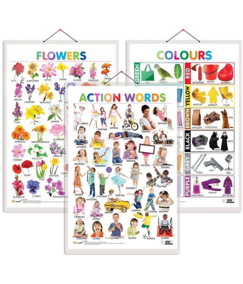 Set of 3 Flowers, Colours and Action Words Early Learning Educational Charts for Kids | 20"X30" inch |Non-Tearable and Waterproof | Double Sided Laminated | Perfect for Homeschooling, Kindergarten and Nursery Students Set of 3 Flowers, Colours and Action Words Early Learning Educational Charts for Kids | 20"X30" inch |Non-Tearable and Waterproof | Double Sided Laminated | Perfect for Homeschooling, Kindergarten and Nursery Students