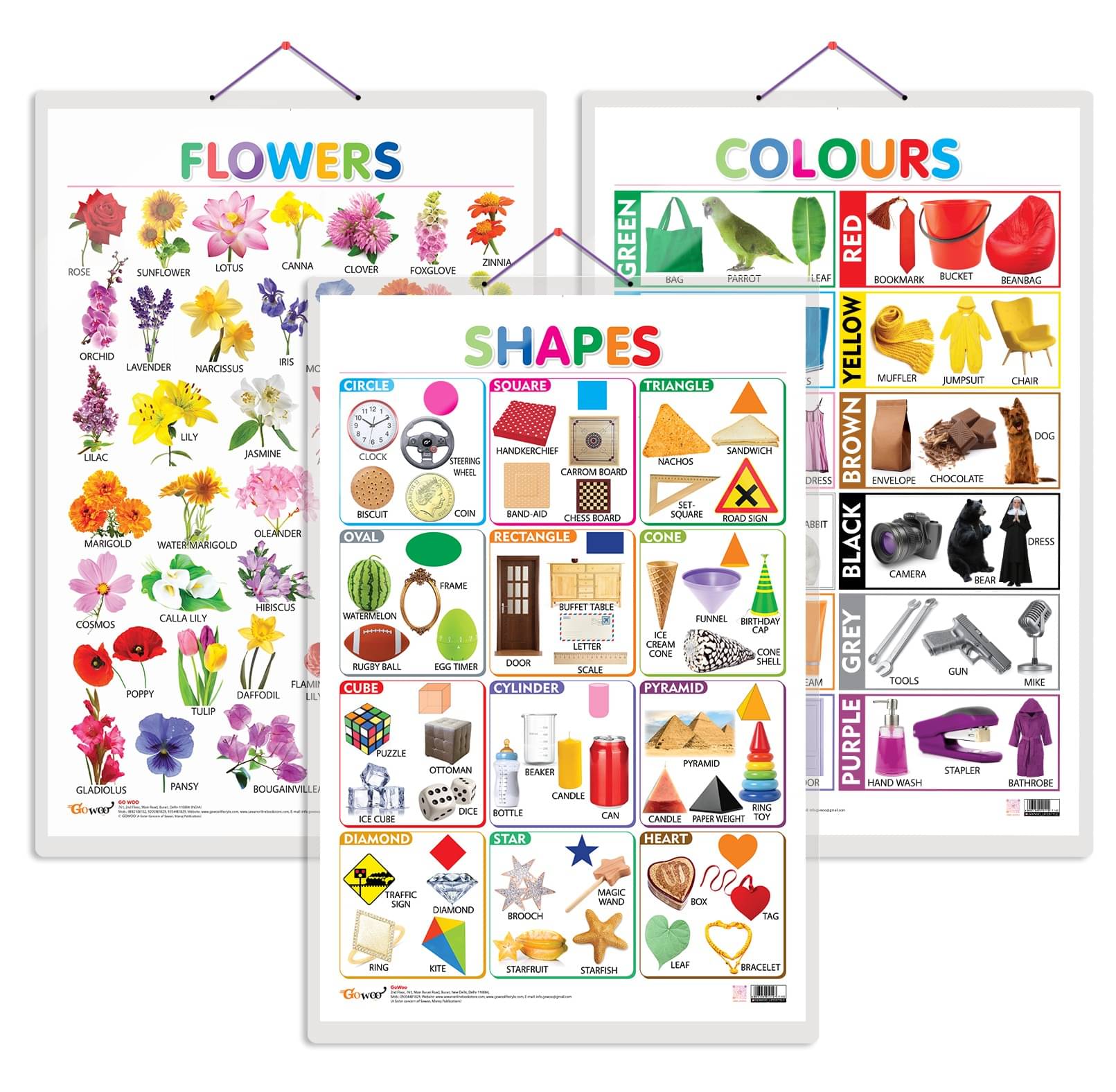 Set of 3 Flowers, Colours and Shapes Early Learning Educational Charts for Kids | 20"X30" inch |Non-Tearable and Waterproof | Double Sided Laminated | Perfect for Homeschooling, Kindergarten and Nursery Students Set of 3 Flowers, Colours and Shapes Early Learning Educational Charts for Kids | 20"X30" inch |Non-Tearable and Waterproof | Double Sided Laminated | Perfect for Homeschooling, Kindergarten and Nursery Students