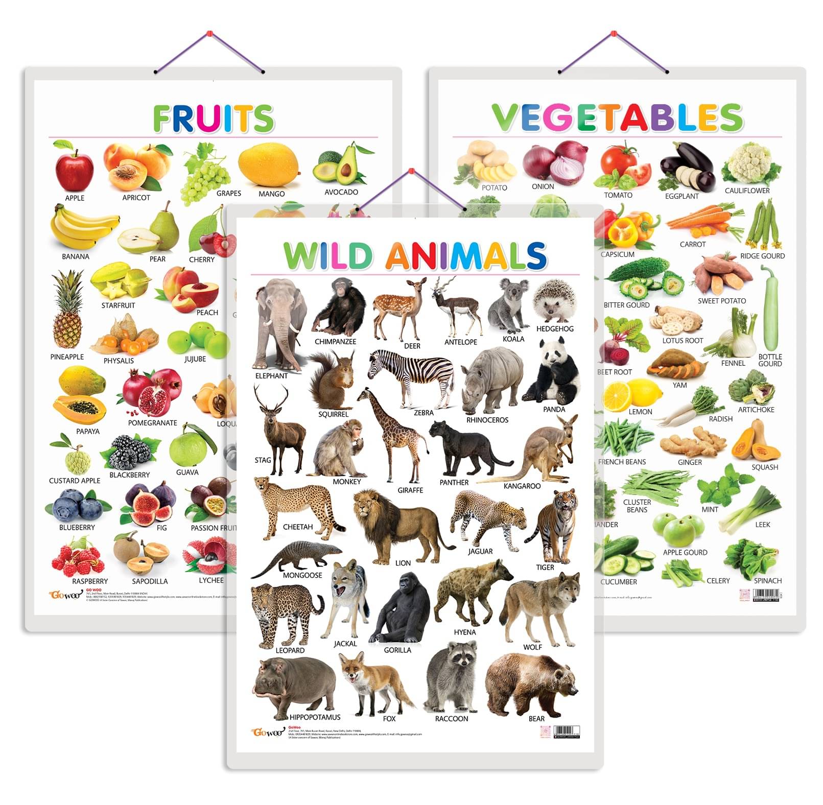     			Set of 3 Fruits, Vegetables and Wild Animals Early Learning Educational Charts for Kids | 20"X30" inch |Non-Tearable and Waterproof | Double Sided Laminated | Perfect for Homeschooling, Kindergarten and Nursery Students