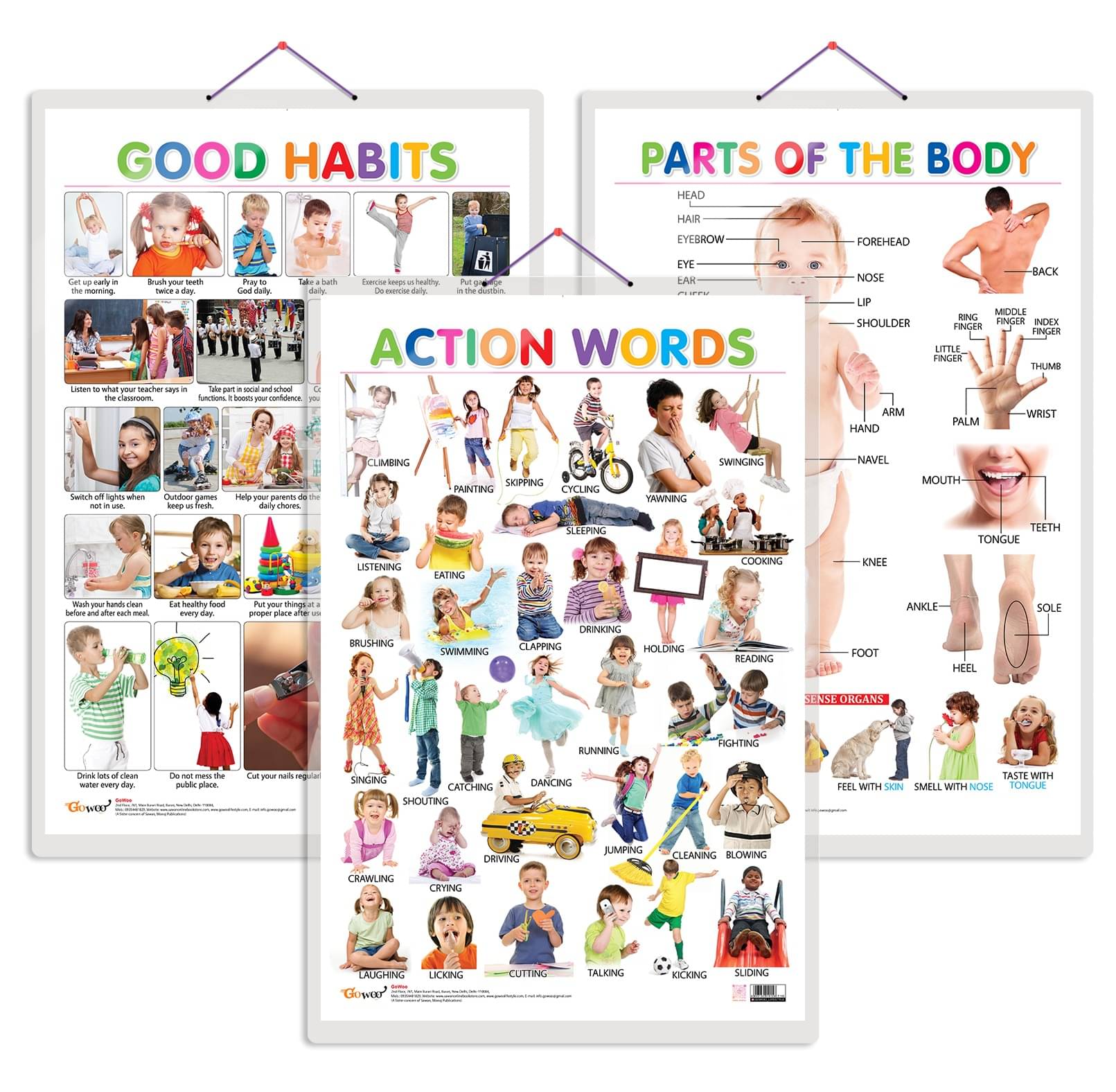 Set of 3 Parts of the Body, Good Habits and Action Words Chart for Kids | 20"X30" inch |Non-Tearable and Waterproof | Double Sided Laminated | Perfect for Homeschooling, Kindergarten and Nursery Students Set of 3 Parts of the Body, Good Habits and Action Words Chart for Kids | 20"X30" inch |Non-Tearable and Waterproof | Double Sided Laminated | Perfect for Homeschooling, Kindergarten and Nursery Students