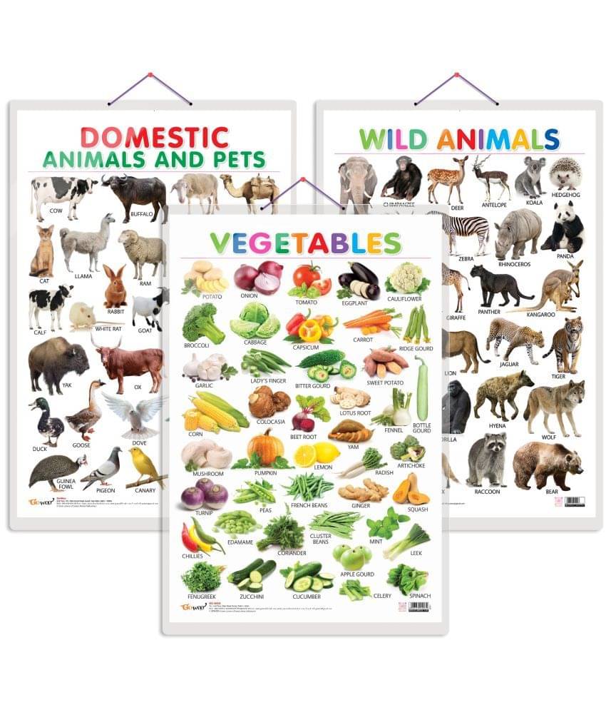 Set of 3 Vegetables, Domestic Animals and Pets and Wild Animals Early Learning Educational Charts for Kids | 20"X30" inch |Non-Tearable and Waterproof | Double Sided Laminated | Perfect for Homeschooling, Kindergarten and Nursery Students Set of 3 Vegetables, Domestic Animals and Pets and Wild Animals Early Learning Educational Charts for Kids | 20"X30" inch |Non-Tearable and Waterproof | Double Sided Laminated | Perfect for Homeschooling, Kindergarten and Nursery Students