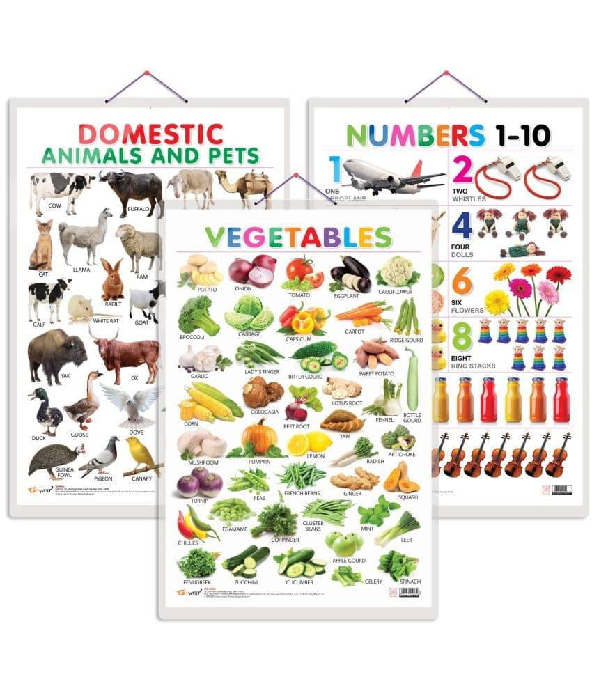 Set of 3 Vegetables, Domestic Animals and Pets and Numbers 1-10 Early Learning Educational Charts for Kids | 20"X30" inch |Non-Tearable and Waterproof | Double Sided Laminated | Perfect for Homeschooling, Kindergarten and Nursery Students Set of 3 Vegetables, Domestic Animals and Pets and Numbers 1-10 Early Learning Educational Charts for Kids | 20"X30" inch |Non-Tearable and Waterproof | Double Sided Laminated | Perfect for Homeschooling, Kindergarten and Nursery Students