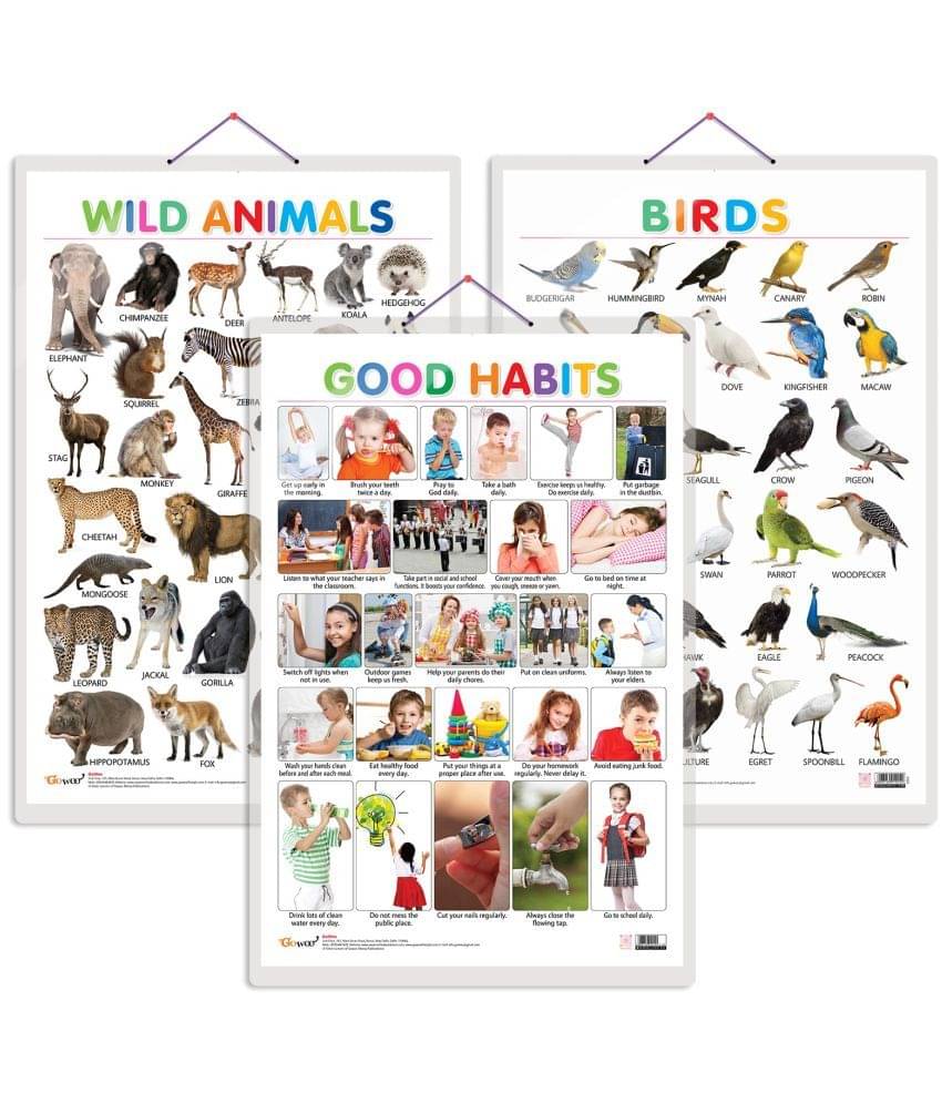 Set of 3 Wild Animals, Birds and Good Habits Early Learning Educational Charts for Kids | 20"X30" inch |Non-Tearable and Waterproof | Double Sided Laminated | Perfect for Homeschooling, Kindergarten and Nursery Students Set of 3 Wild Animals, Birds and Good Habits Early Learning Educational Charts for Kids | 20"X30" inch |Non-Tearable and Waterproof | Double Sided Laminated | Perfect for Homeschooling, Kindergarten and Nursery Students