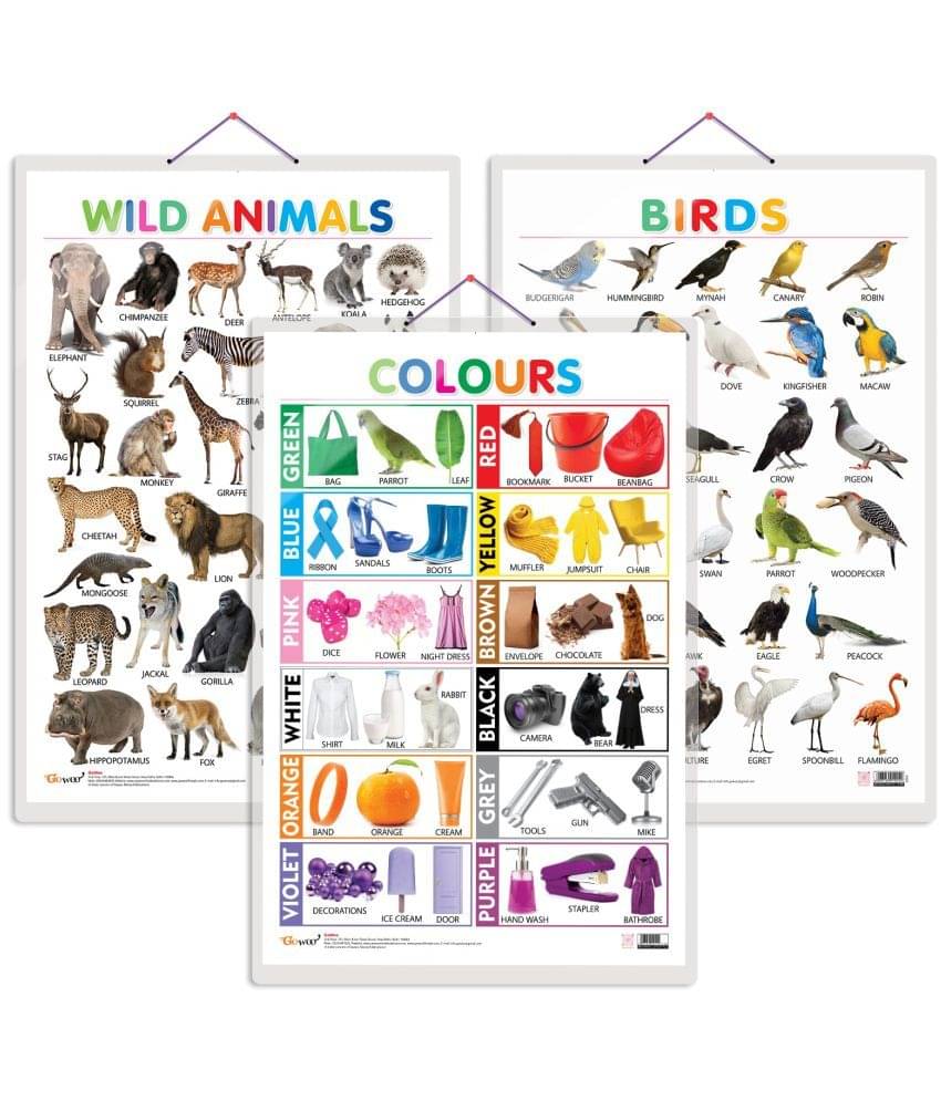 Set of 3 Wild Animals, Birds and Colours Early Learning Educational Charts for Kids | 20"X30" inch |Non-Tearable and Waterproof | Double Sided Laminated | Perfect for Homeschooling, Kindergarten and Nursery Students Set of 3 Wild Animals, Birds and Colours Early Learning Educational Charts for Kids | 20"X30" inch |Non-Tearable and Waterproof | Double Sided Laminated | Perfect for Homeschooling, Kindergarten and Nursery Students