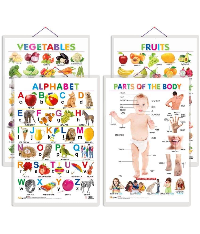 Set of 4 Alphabet, Fruits, Vegetables and Parts of the Body Early Learning Educational Charts for Kids | 20"X30" inch |Non-Tearable and Waterproof | Double Sided Laminated | Perfect for Homeschooling, Kindergarten and Nursery Students Set of 4 Alphabet, Fruits, Vegetables and Parts of the Body Early Learning Educational Charts for Kids | 20"X30" inch |Non-Tearable and Waterproof | Double Sided Laminated | Perfect for Homeschooling, Kindergarten and Nursery Students