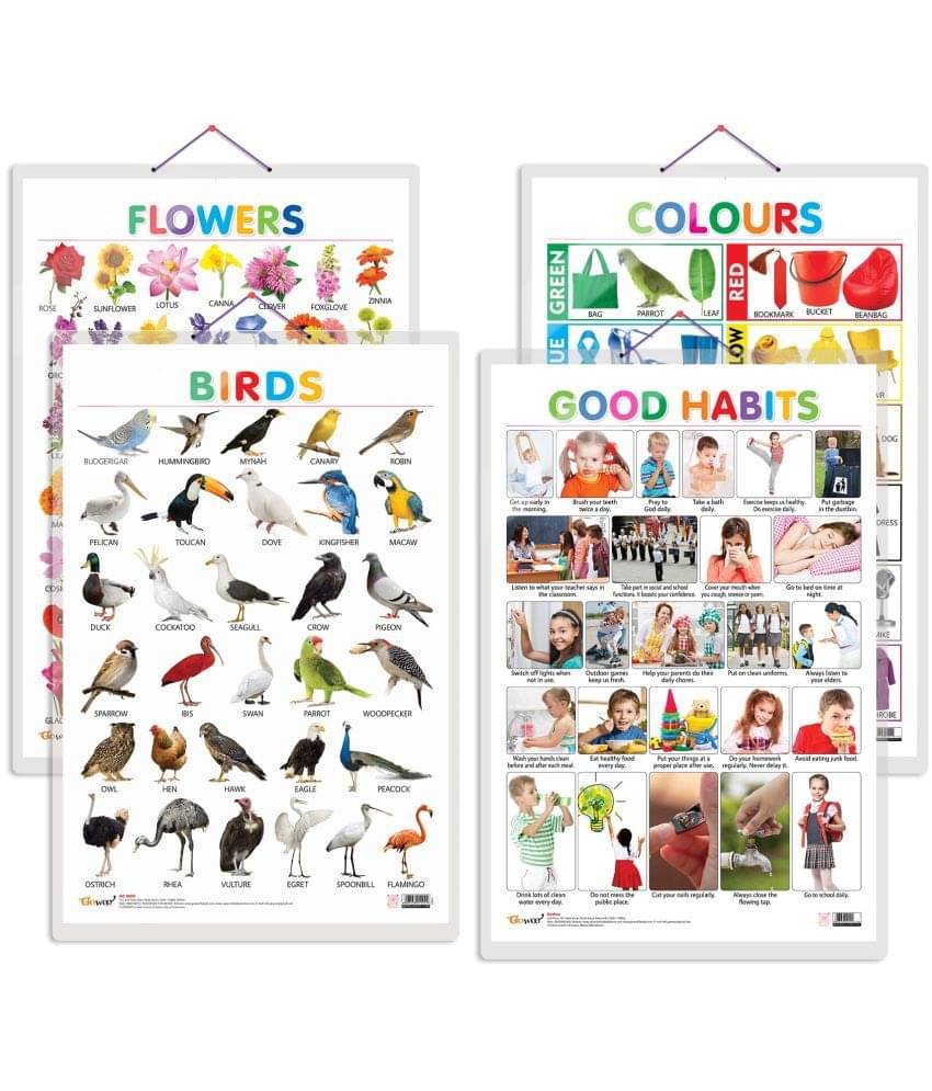 Set of 4 Birds, Flowers, Colours and Good Habits Early Learning Educational Charts for Kids | 20"X30" inch |Non-Tearable and Waterproof | Double Sided Laminated | Perfect for Homeschooling, Kindergarten and Nursery Students Set of 4 Birds, Flowers, Colours and Good Habits Early Learning Educational Charts for Kids | 20"X30" inch |Non-Tearable and Waterproof | Double Sided Laminated | Perfect for Homeschooling, Kindergarten and Nursery Students