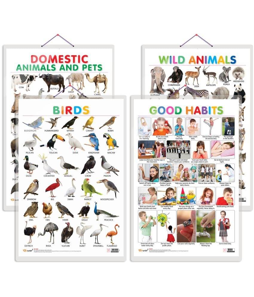 Set of 4 Domestic Animals and Pets, Wild Animals, Birds and Good Habits Early Learning Educational Charts for Kids | 20"X30" inch |Non-Tearable and Waterproof | Double Sided Laminated | Perfect for Homeschooling, Kindergarten and Nursery Students Set of 4 Domestic Animals and Pets, Wild Animals, Birds and Good Habits Early Learning Educational Charts for Kids | 20"X30" inch |Non-Tearable and Waterproof | Double Sided Laminated | Perfect for Homeschooling, Kindergarten and Nursery Students